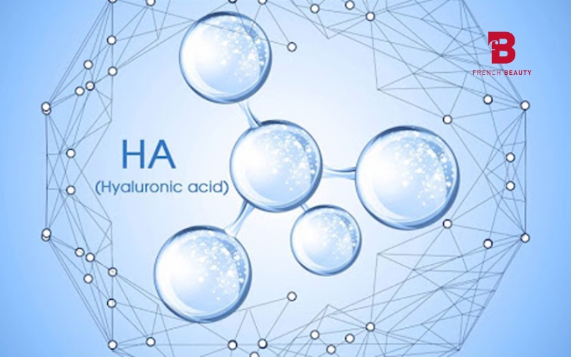 Hyaluronic Acid (HA) là một phân tử có khả năng giữ nước vượt trội
